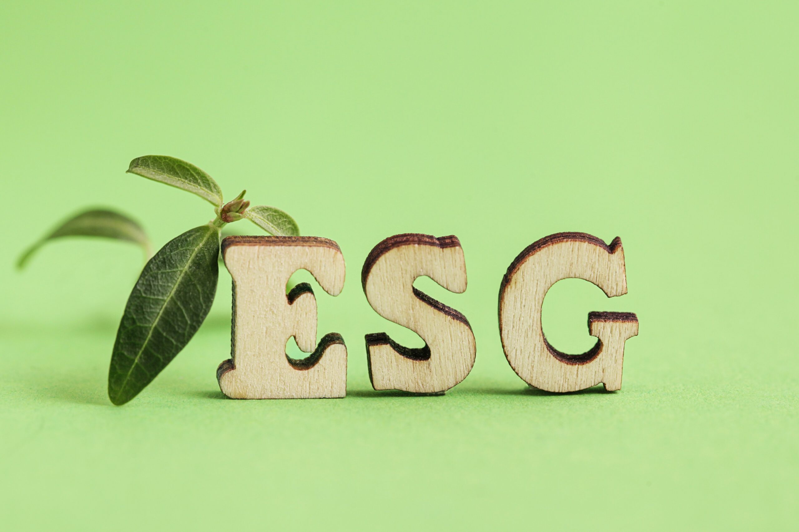 Read: ESG for M.O.N.E.Y
